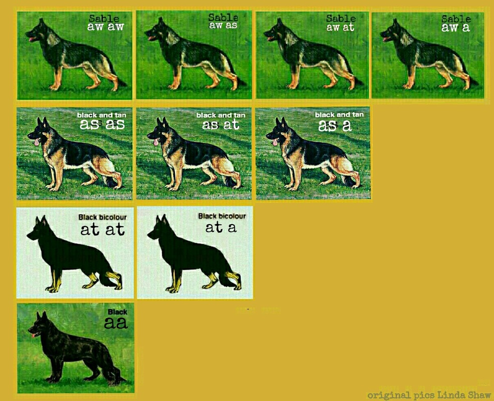 German Shepherd Colour Chart